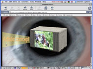 Newsletter 01.2003